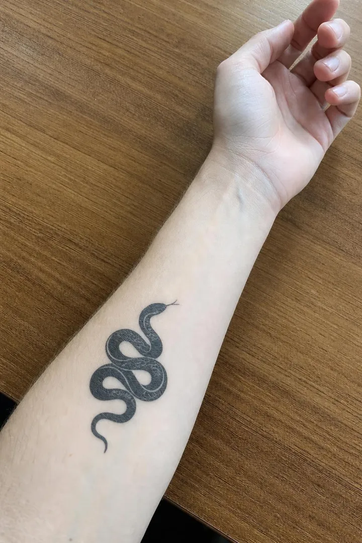 A bold blackwork snake on the same forearm.
