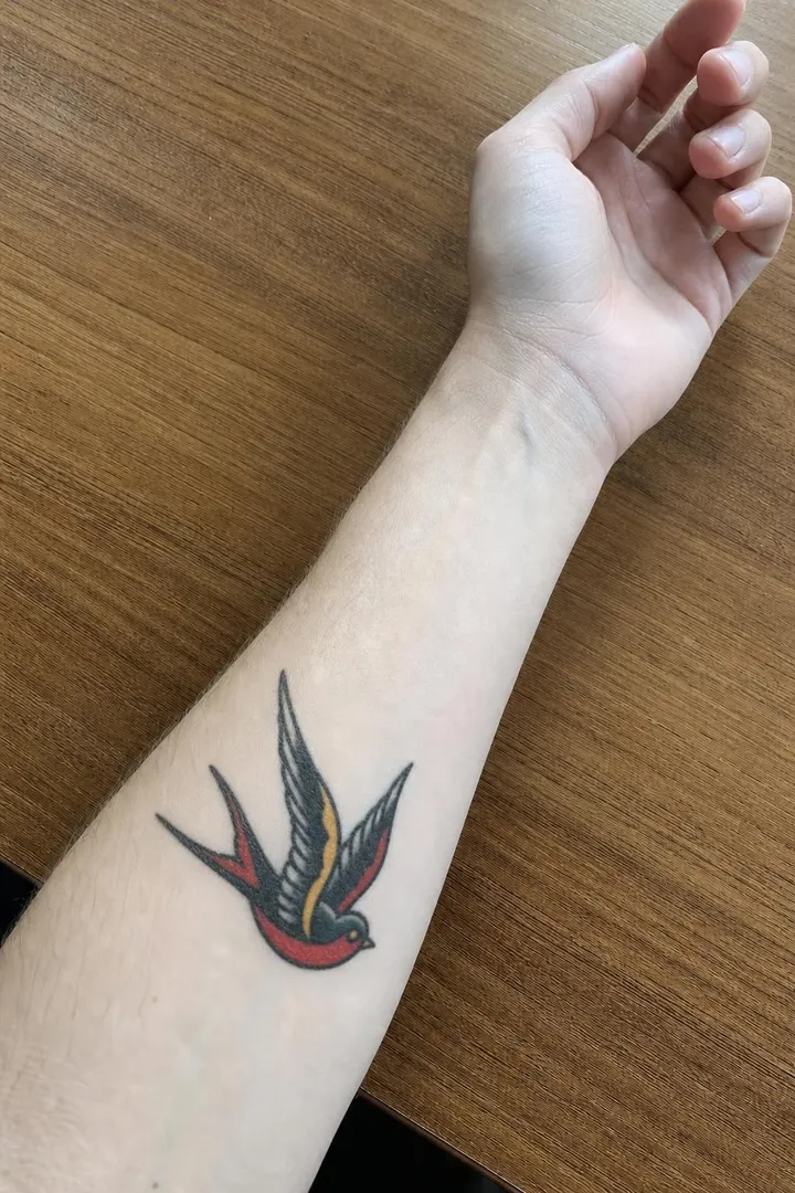 An American traditional swallow in red, yellow and green on the same forearm.